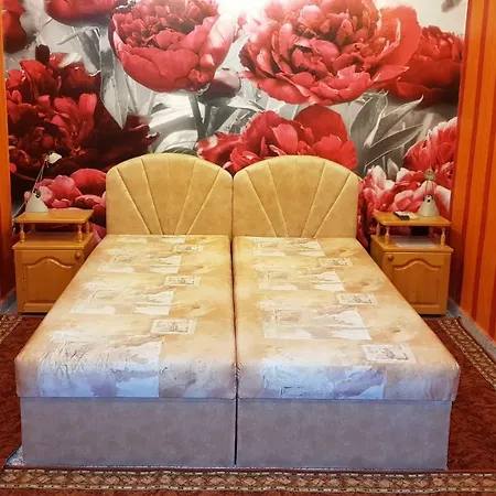 Summer House Konukevi 3*