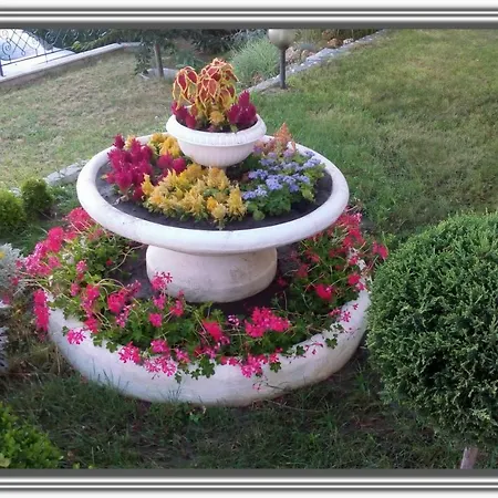 Summer House 3* 산콘스탄틴앤헬레나